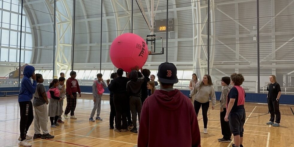 A larger group of kids playing with a large pink Kin-Ball.
